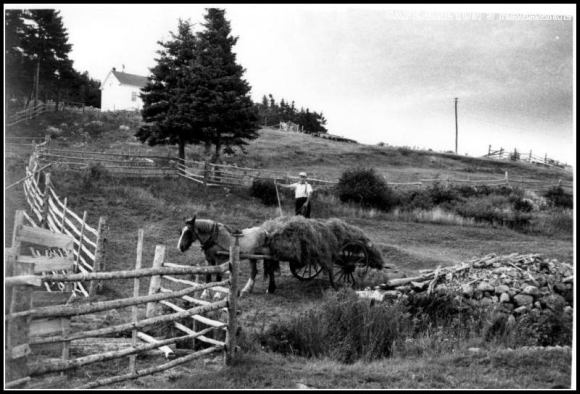 Roddie Hector MacDonald, Wreck Cove